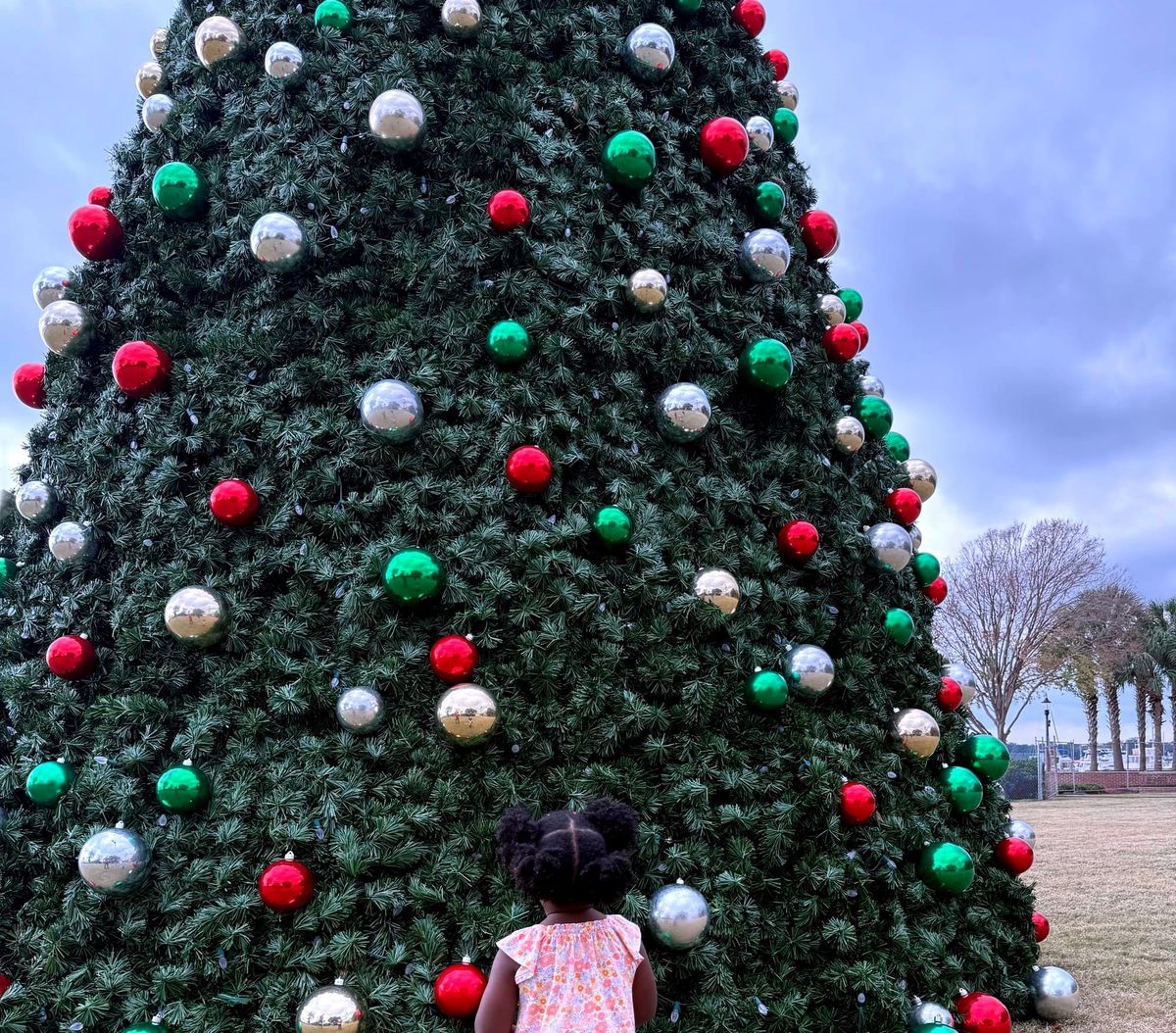 Holiday Happenings Across Beaufort and the Sea Islands