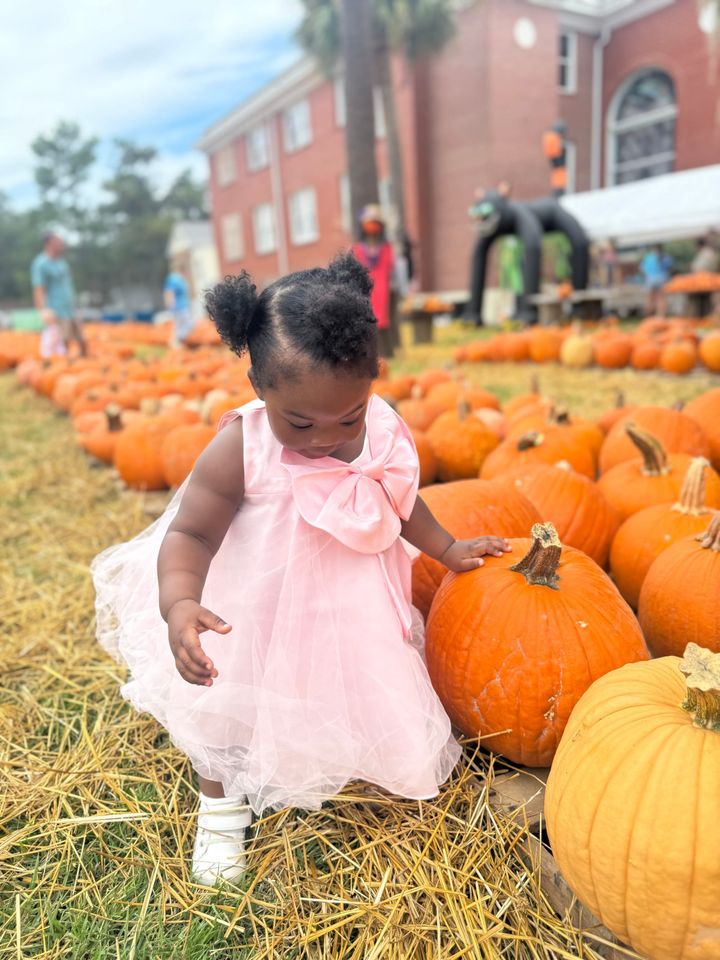 Things To Do This Weekend in  Beaufort, SC