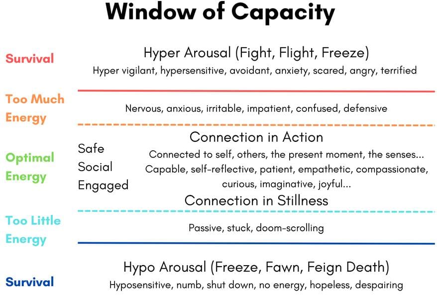 A graph showing the Window of Capacity with hyper arousal at the top (anxiety, fear, anger), regulation in the middle (connection, safety) and hypo arousal at the bottom (disconnection, numbness)