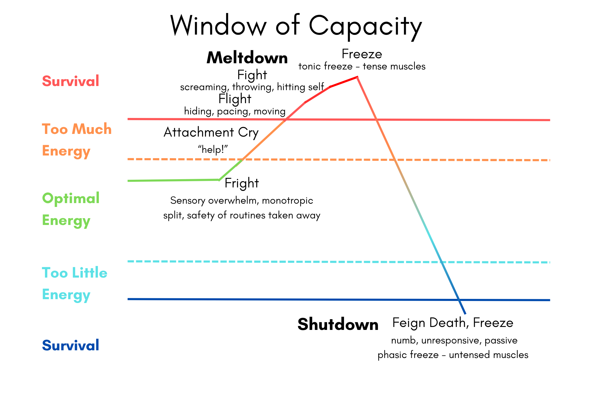 Meltdowns and shutdowns mapped onto the autonomic nervous system