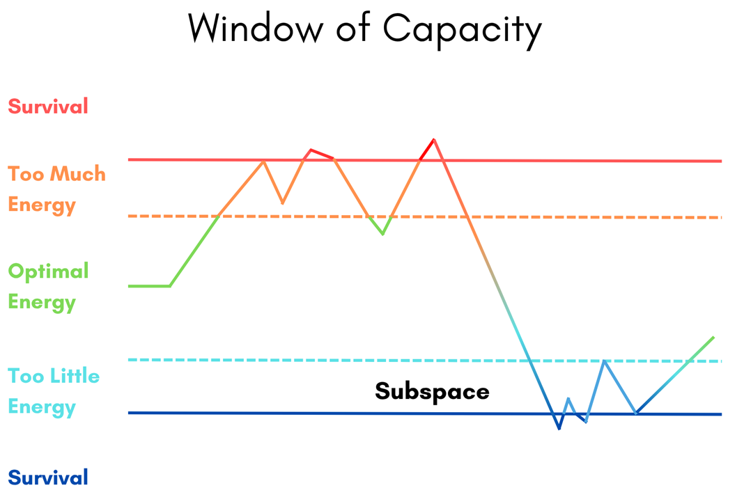 The autonomic nervous system in a scene