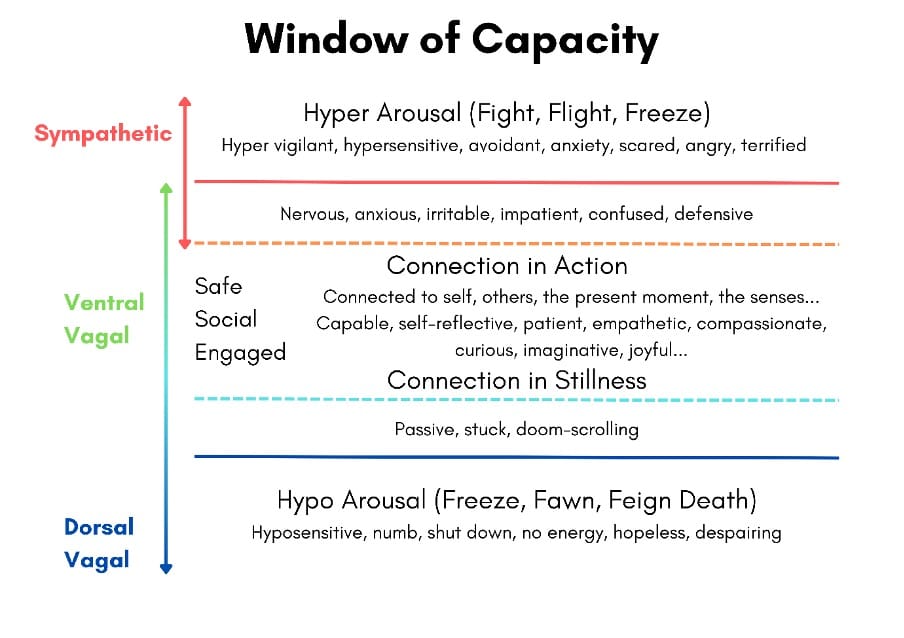 A chart of the window of capacity