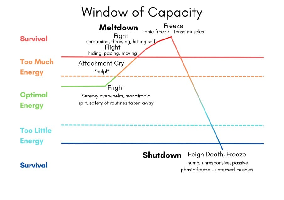 A chart showing the autonomic nervous system with typical meltdown behaviours in sympathetic and typical shutdown behaviours in dorsal vagal