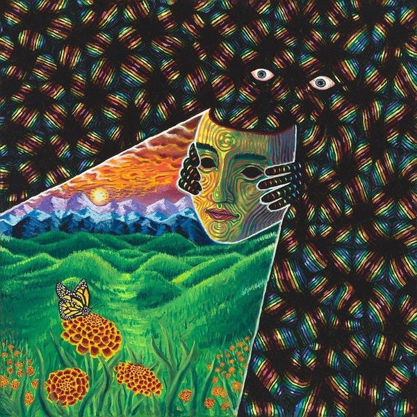 The Nature of Perception
