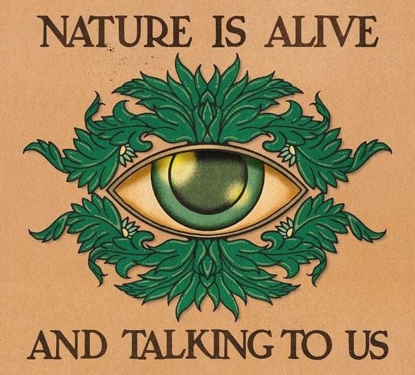 the wild intelligence within