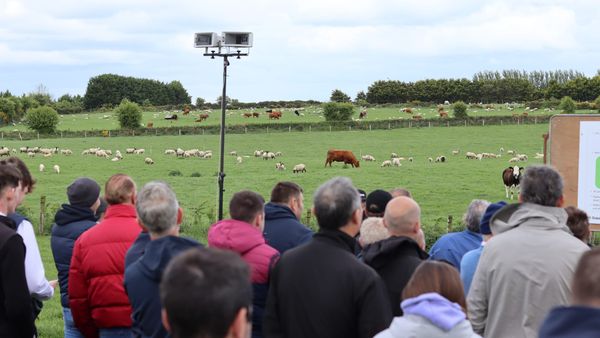 Farm Incomes