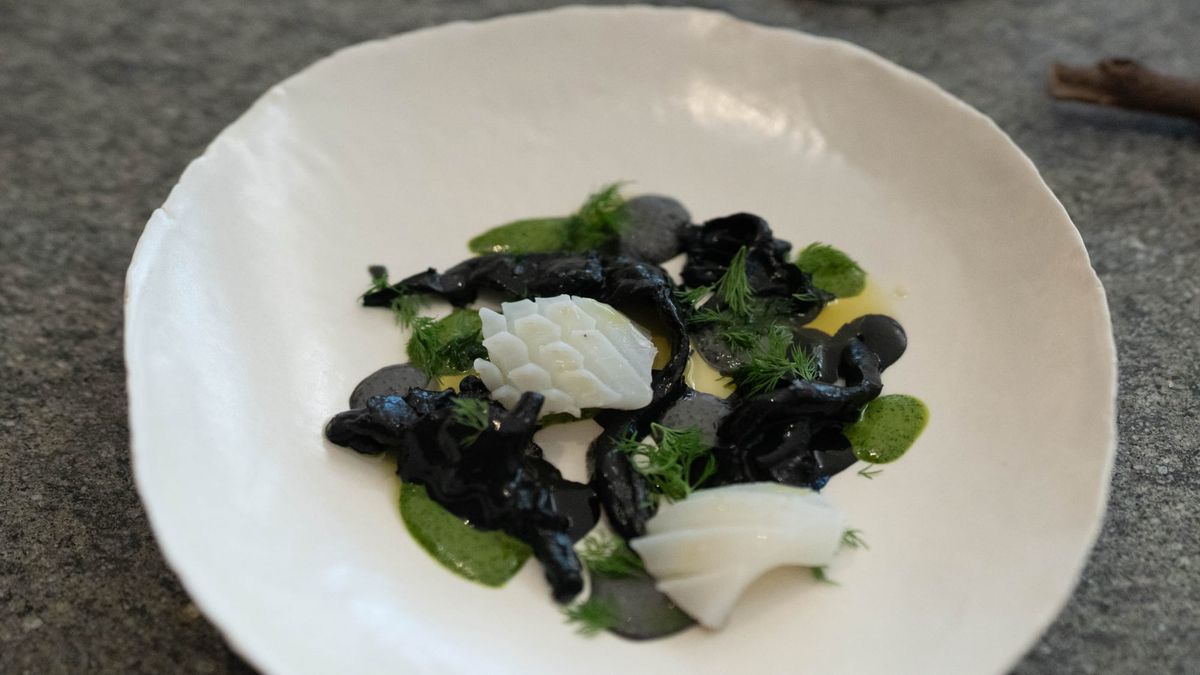 기가스 - 2025-2026년 겨울