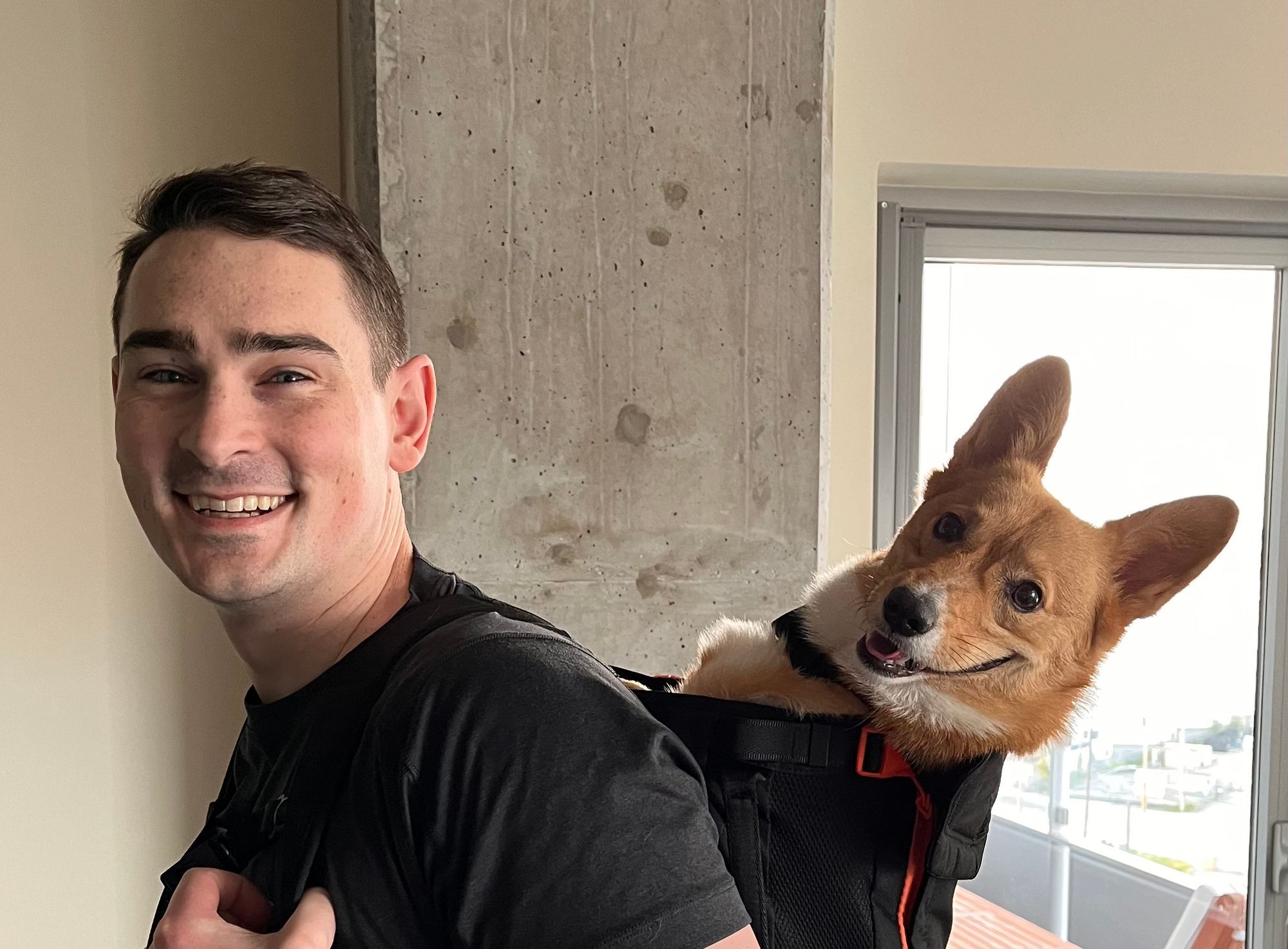 Corgi in a backpack!