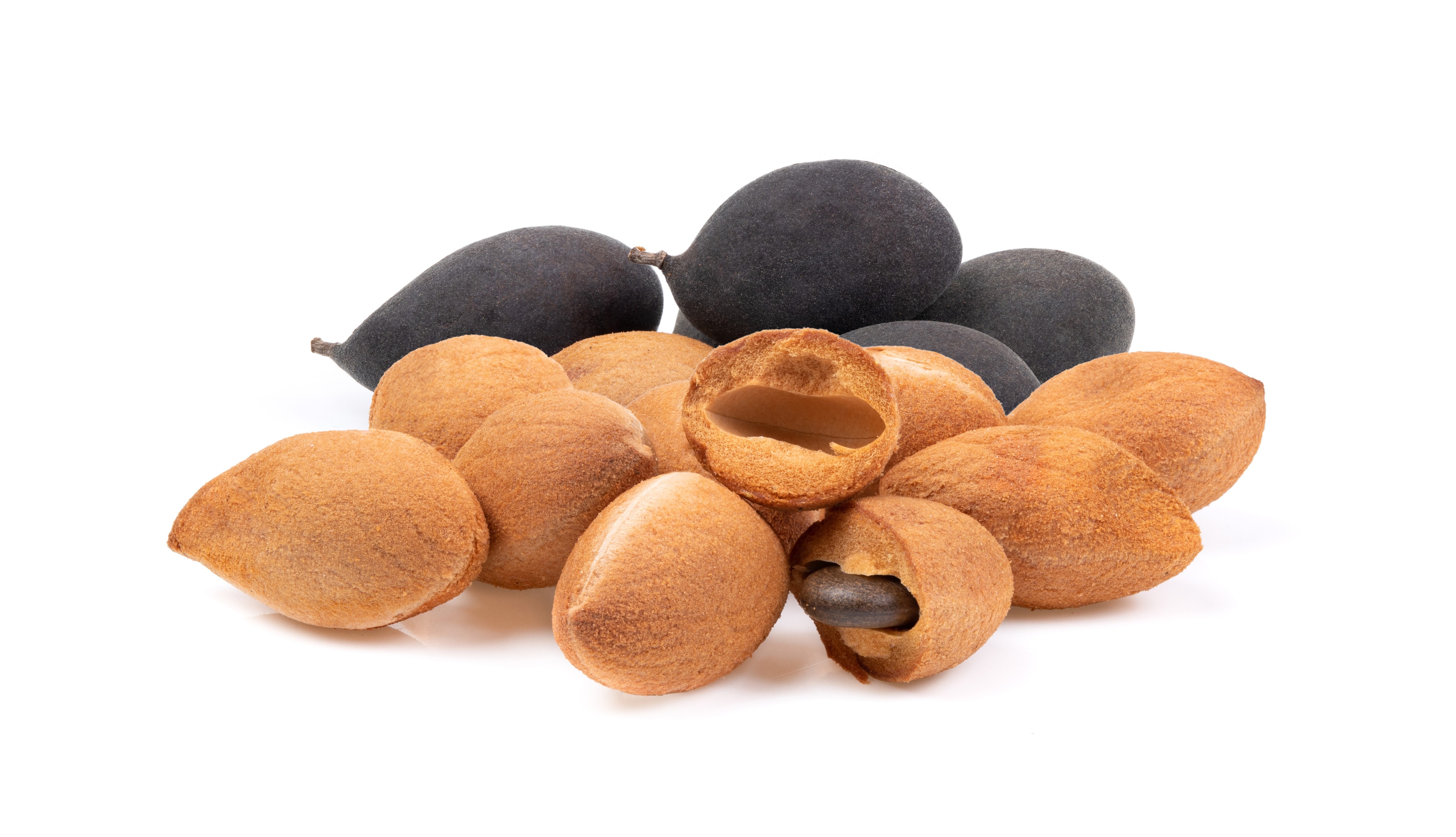 African velvet tamarind fruit — Dialium cochinchinense
