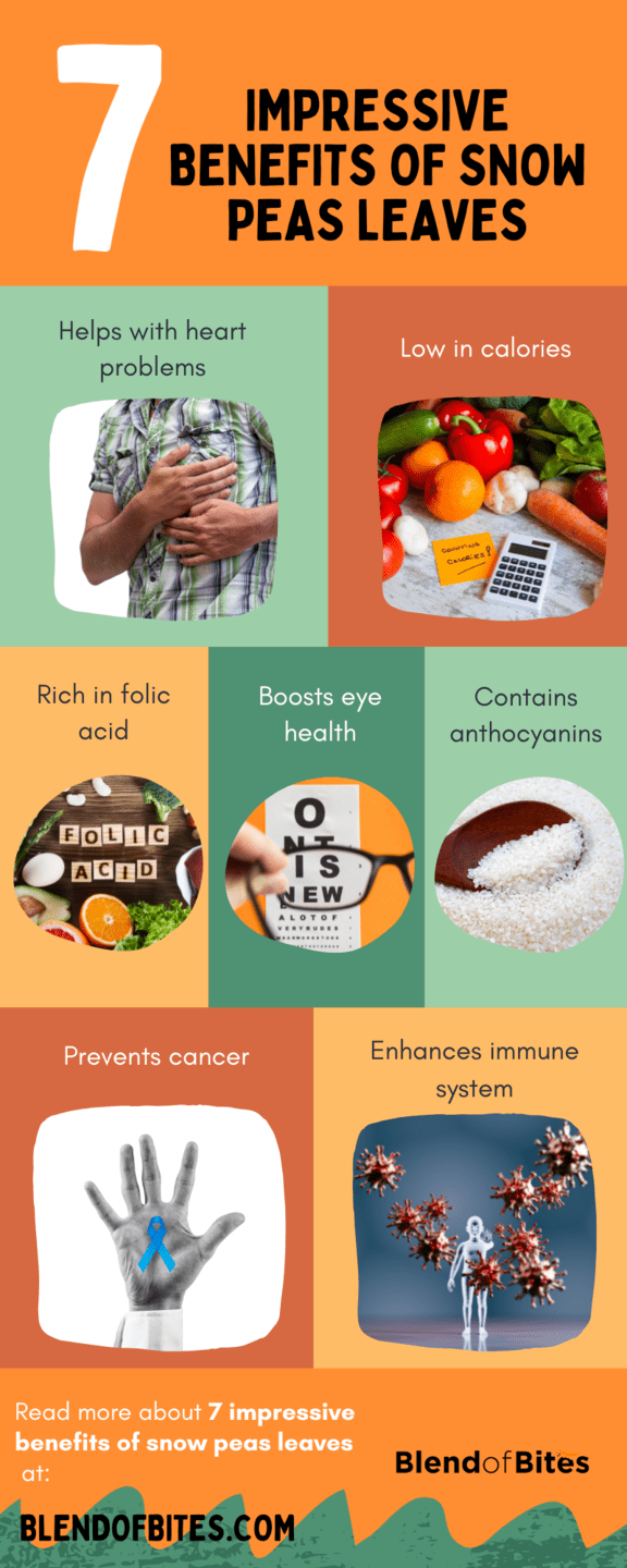 Benefits of Snow Peas Leaves Infographic