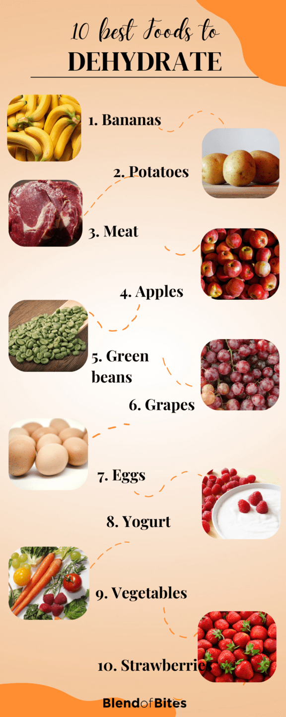 Best Foods to Dehydrate Infographic