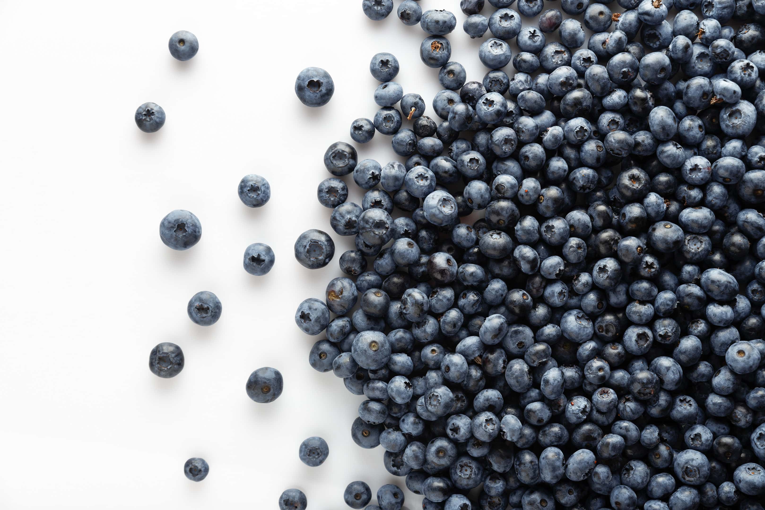 Blueberries scattered on white table