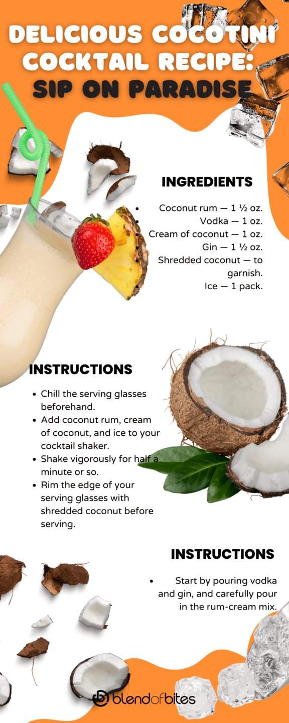 Cocotini cocktail infographic