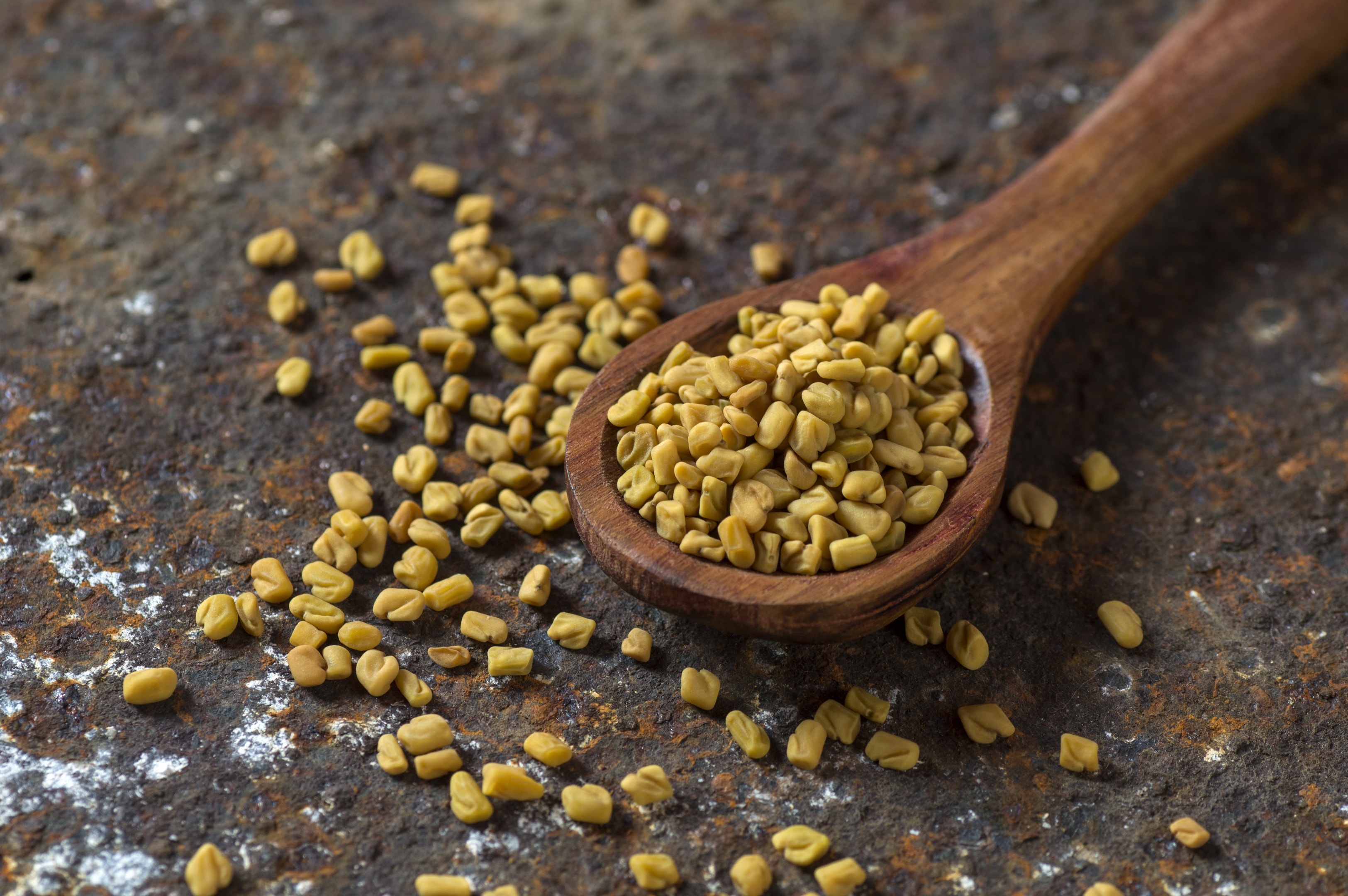 Fenugreek seeds in wooden spoon textured background