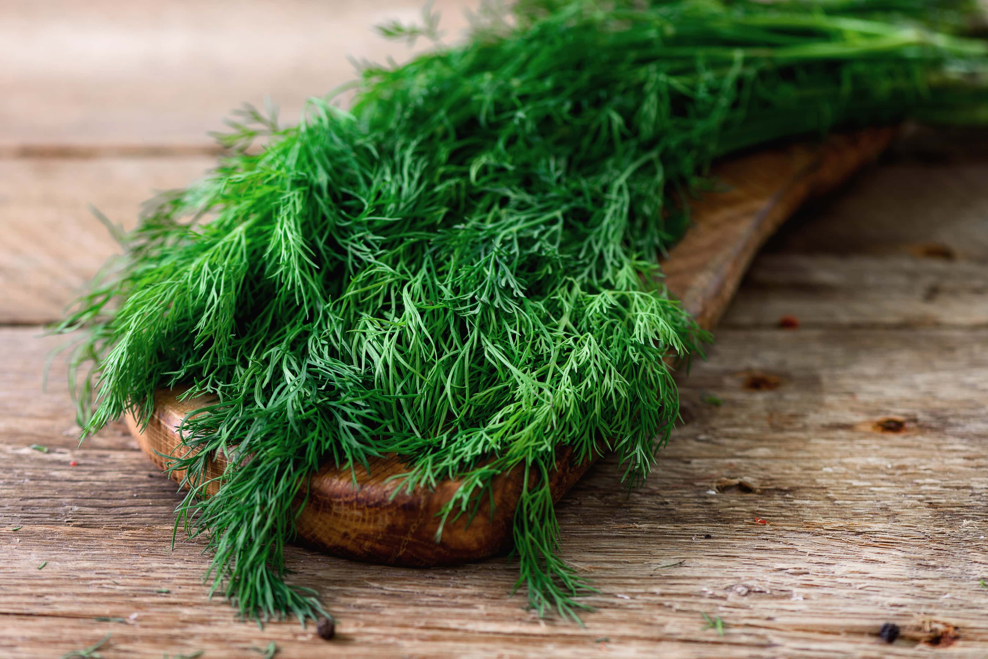 Fresh dill on a spoon