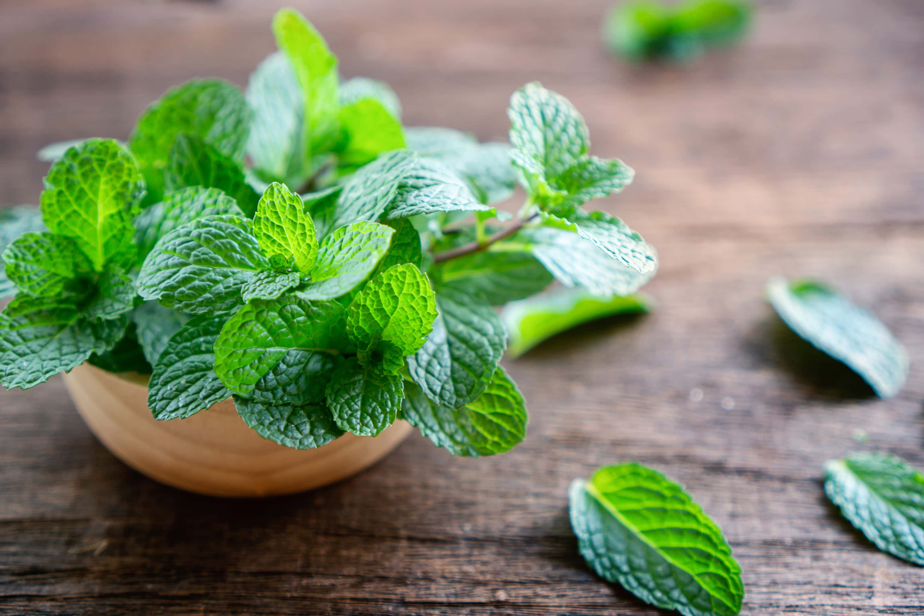 Fresh green mint leaves in bowl on wooden table
