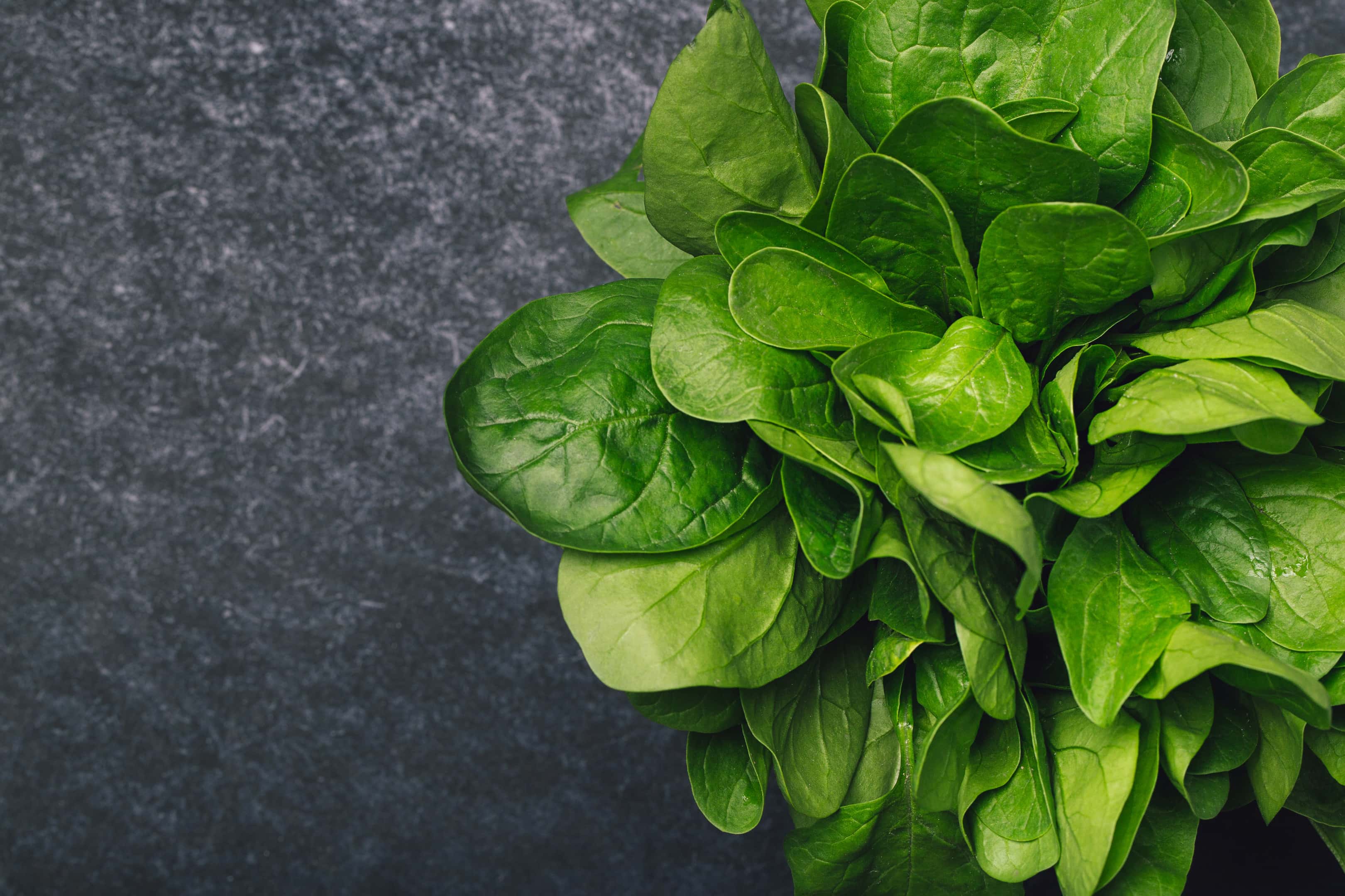 Fresh spinach on dark background
