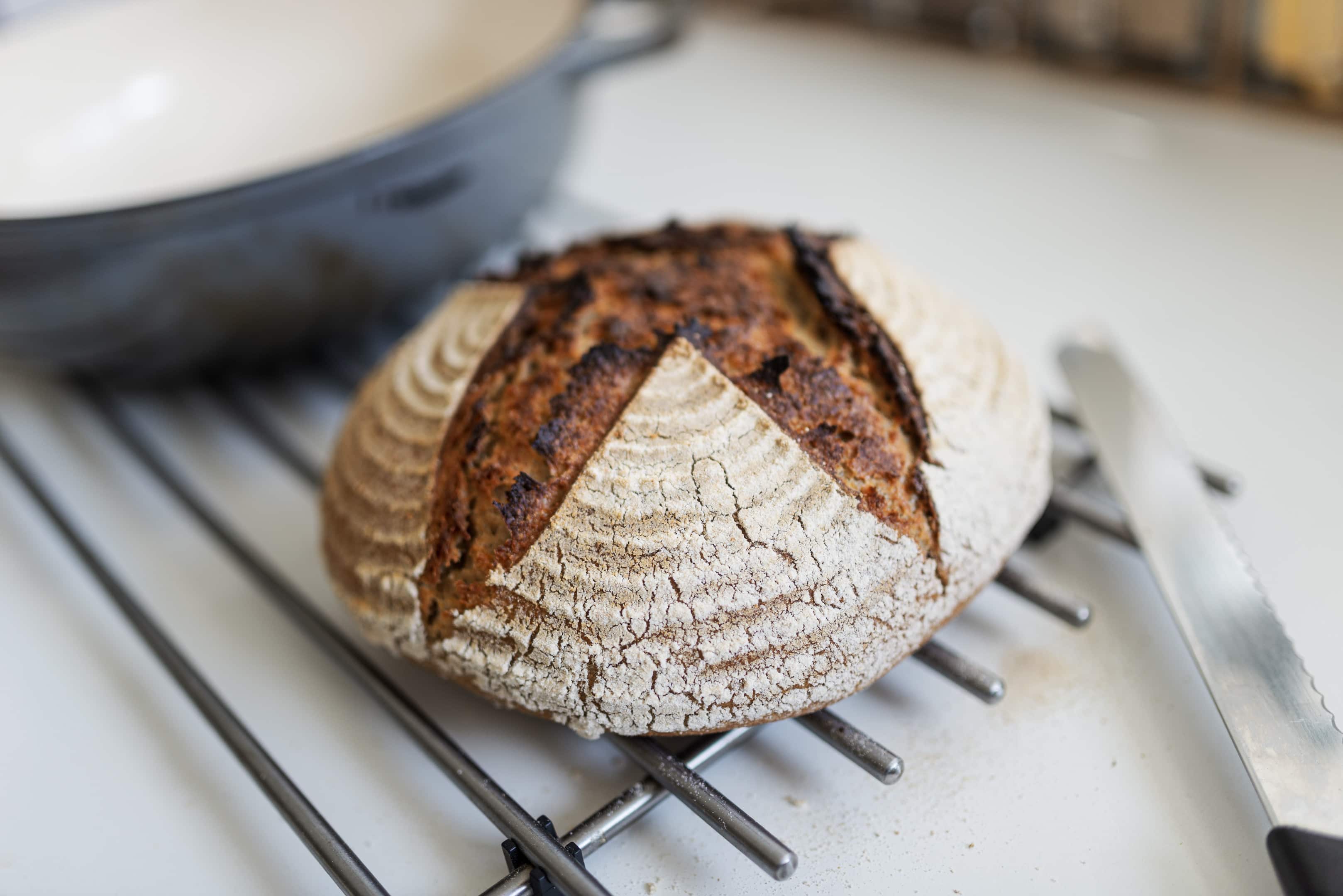 Freshly baked whole spelt bread