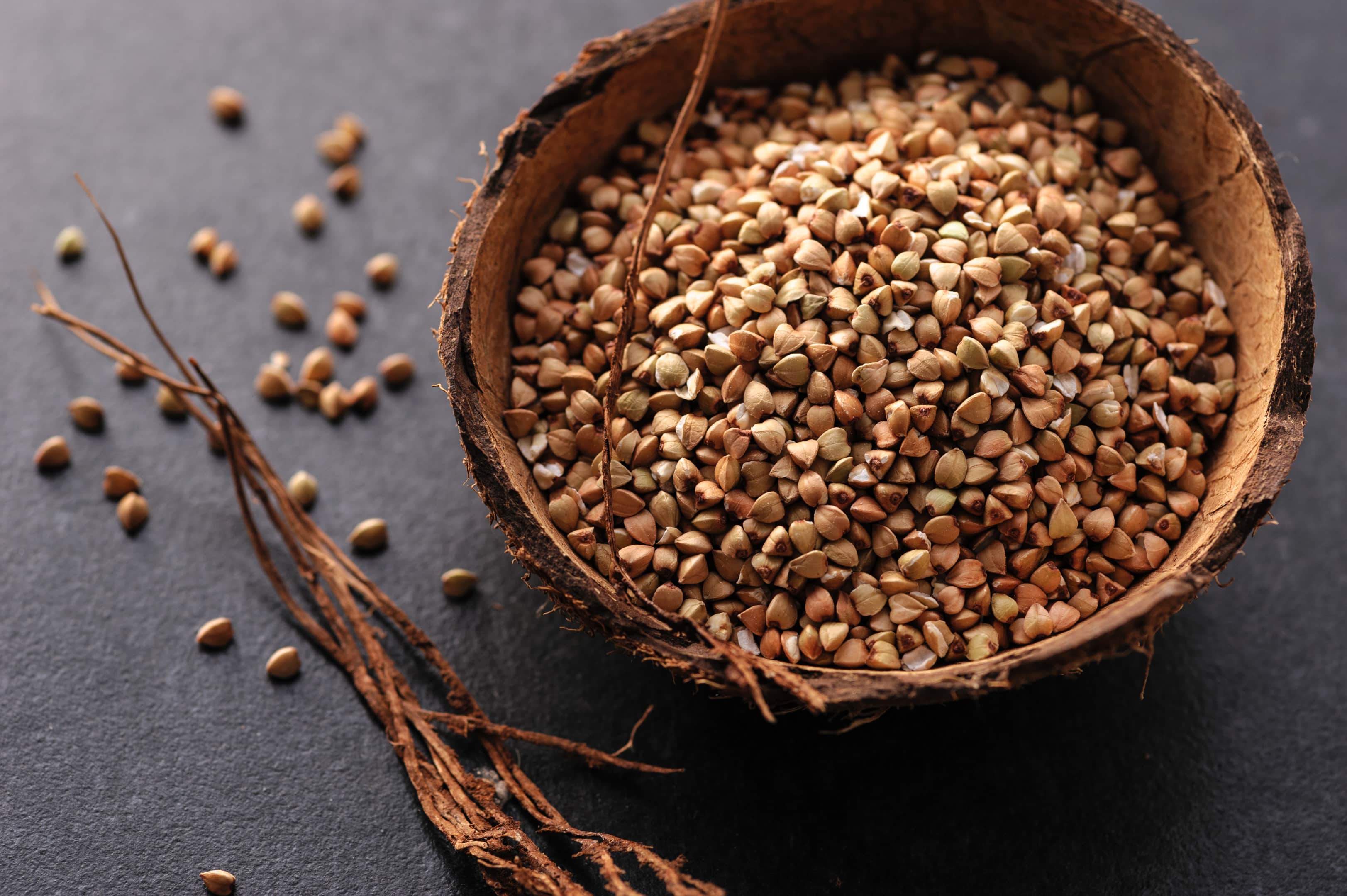 Green buckwheat grains in coconut bowl