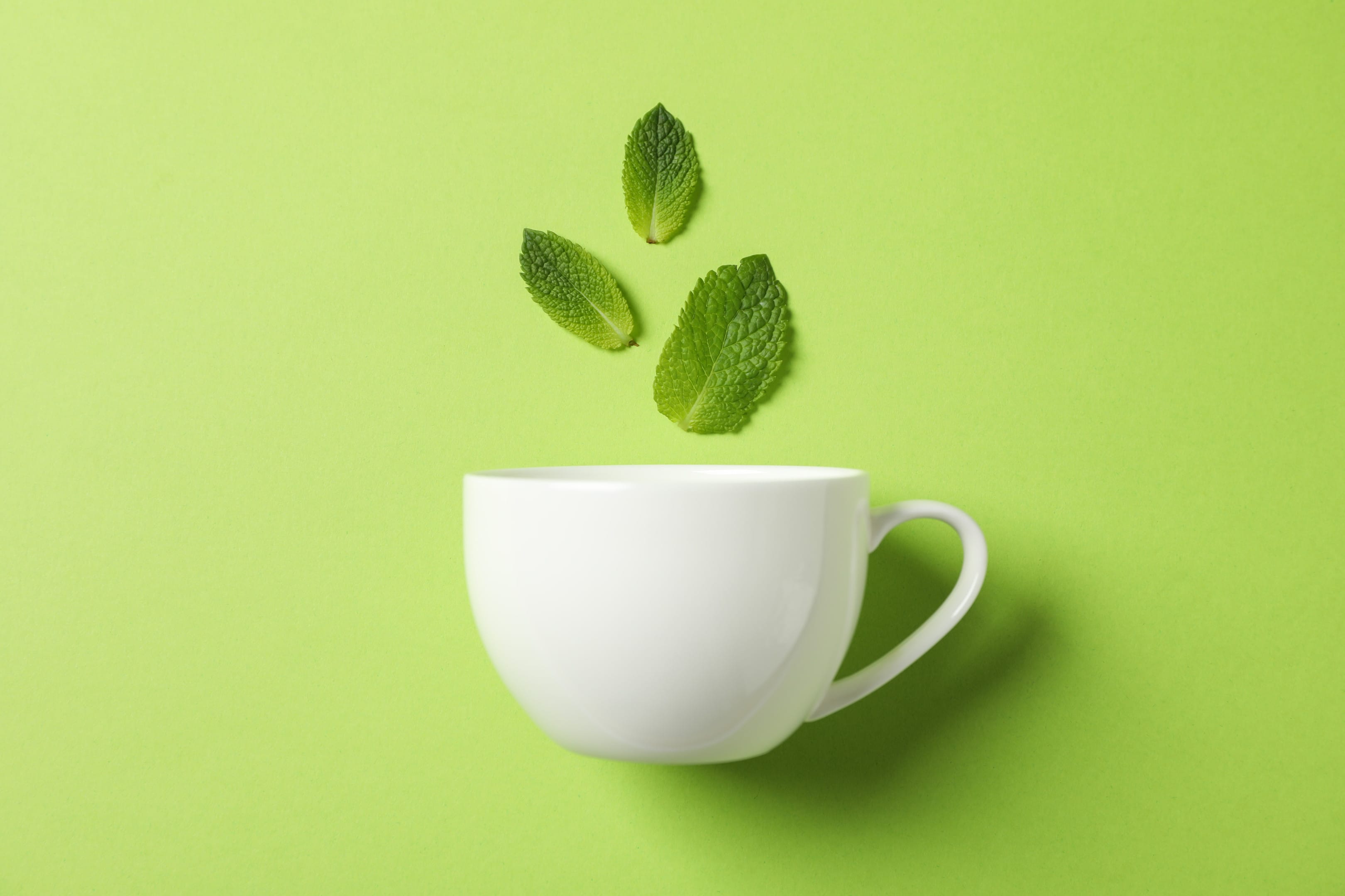 Green tea in white cup with mint leaves