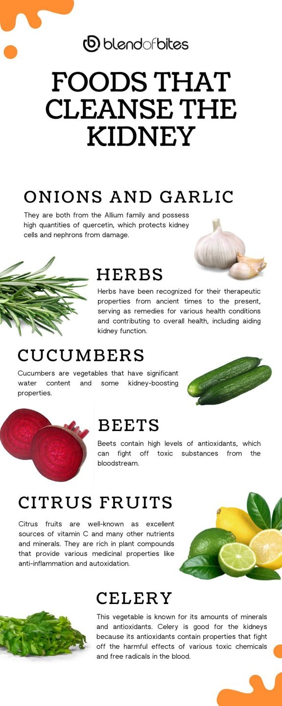 Infographic Foods for Kidney Cleansing Jpeg