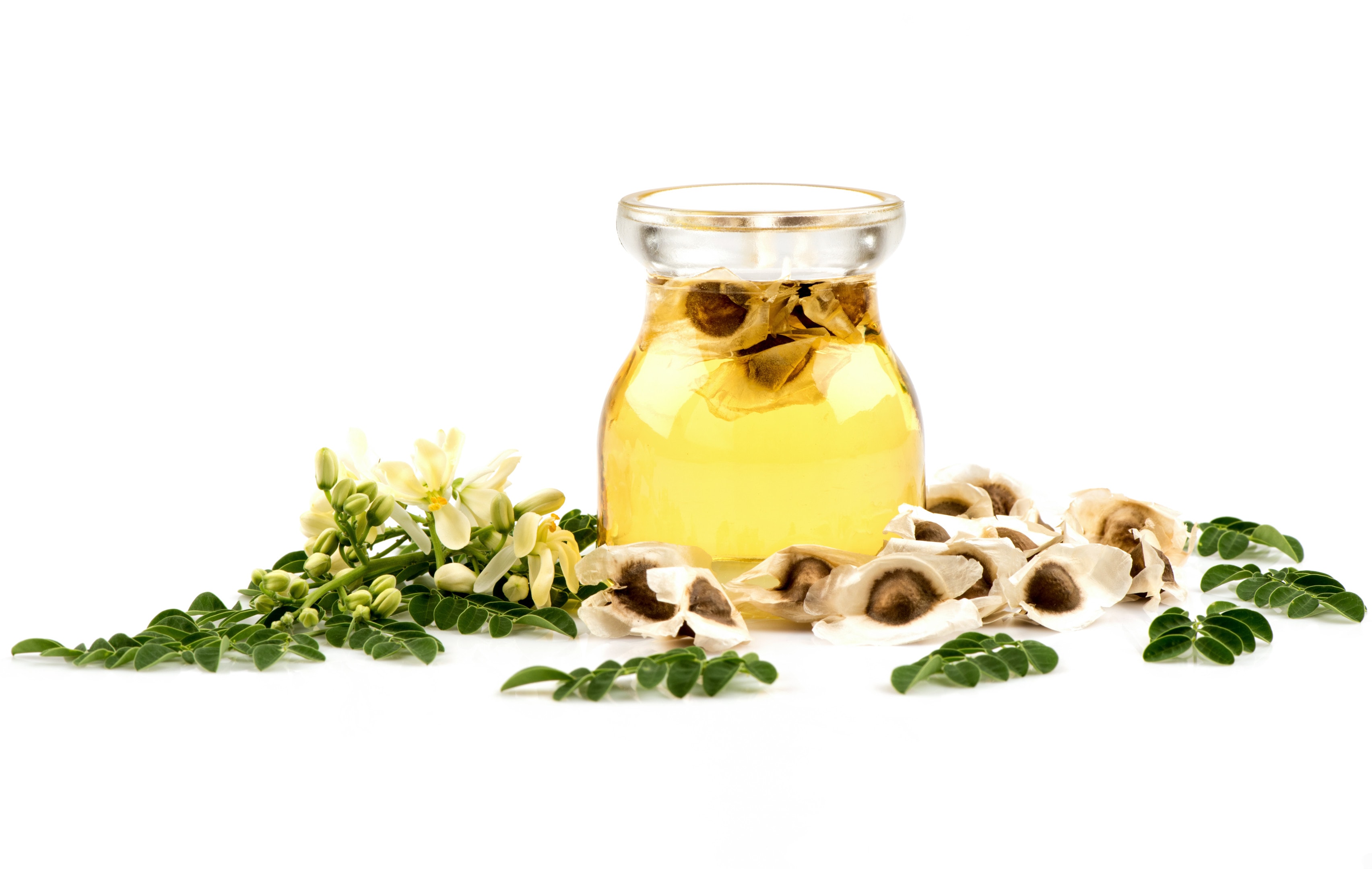 Moringa oil with moringa seeds and leaves