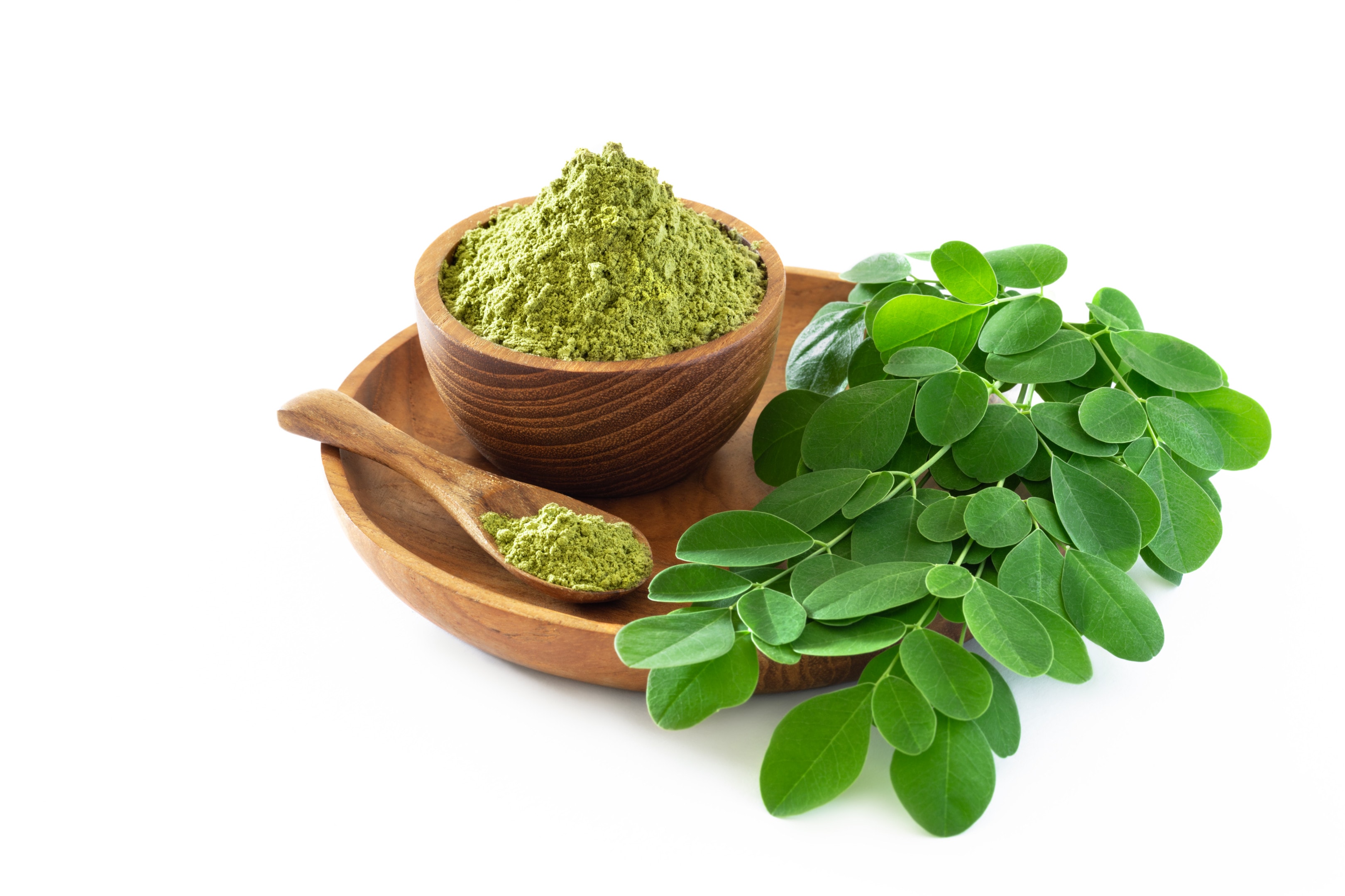 Moringa powder (Moringa Oleifera) with fresh moringa leaves