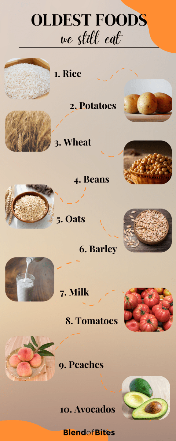 Infographic listing oldest foods, including rice, potatoes, wheat, beans, and oats