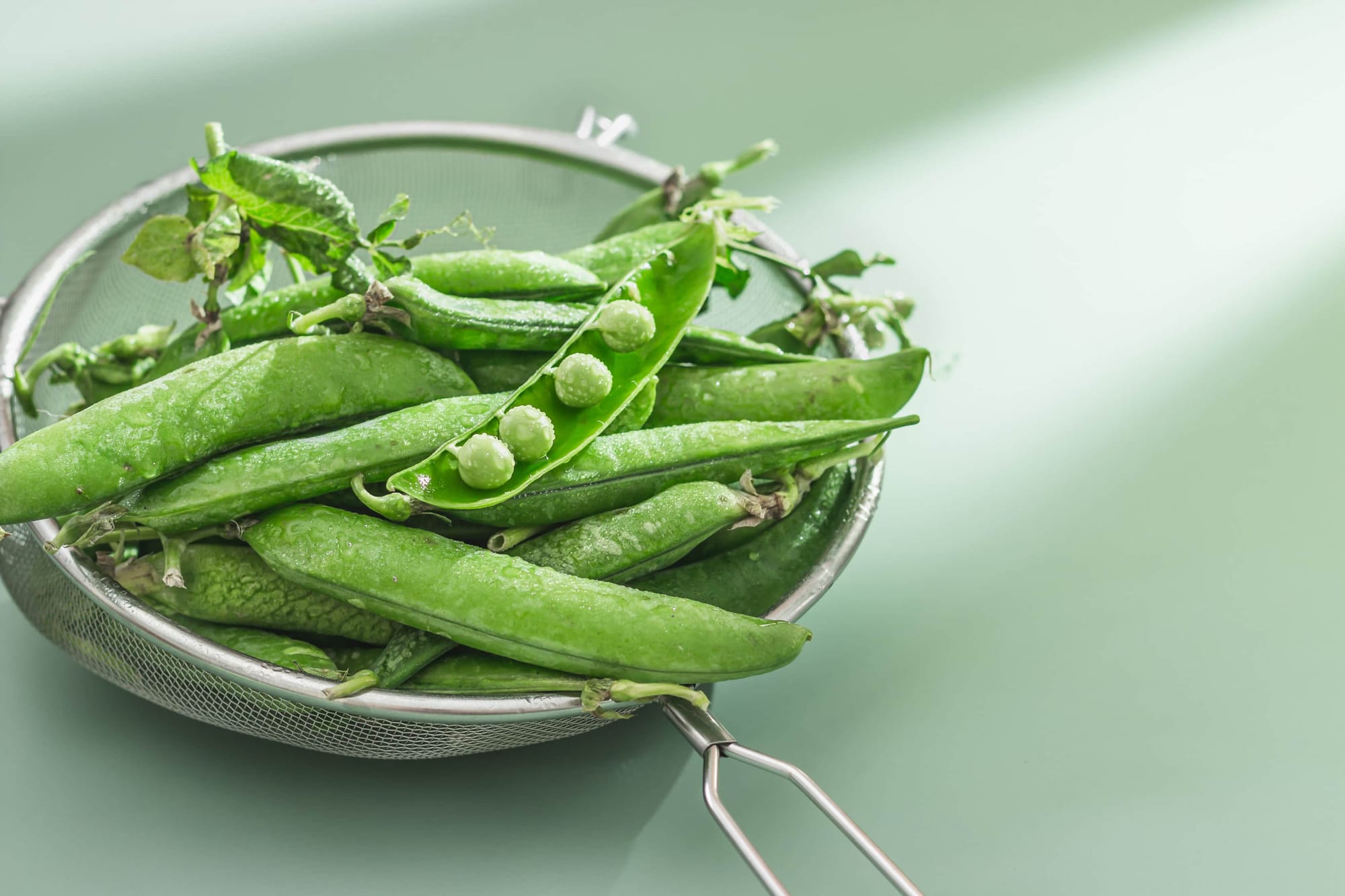 Fresh peas in a colander