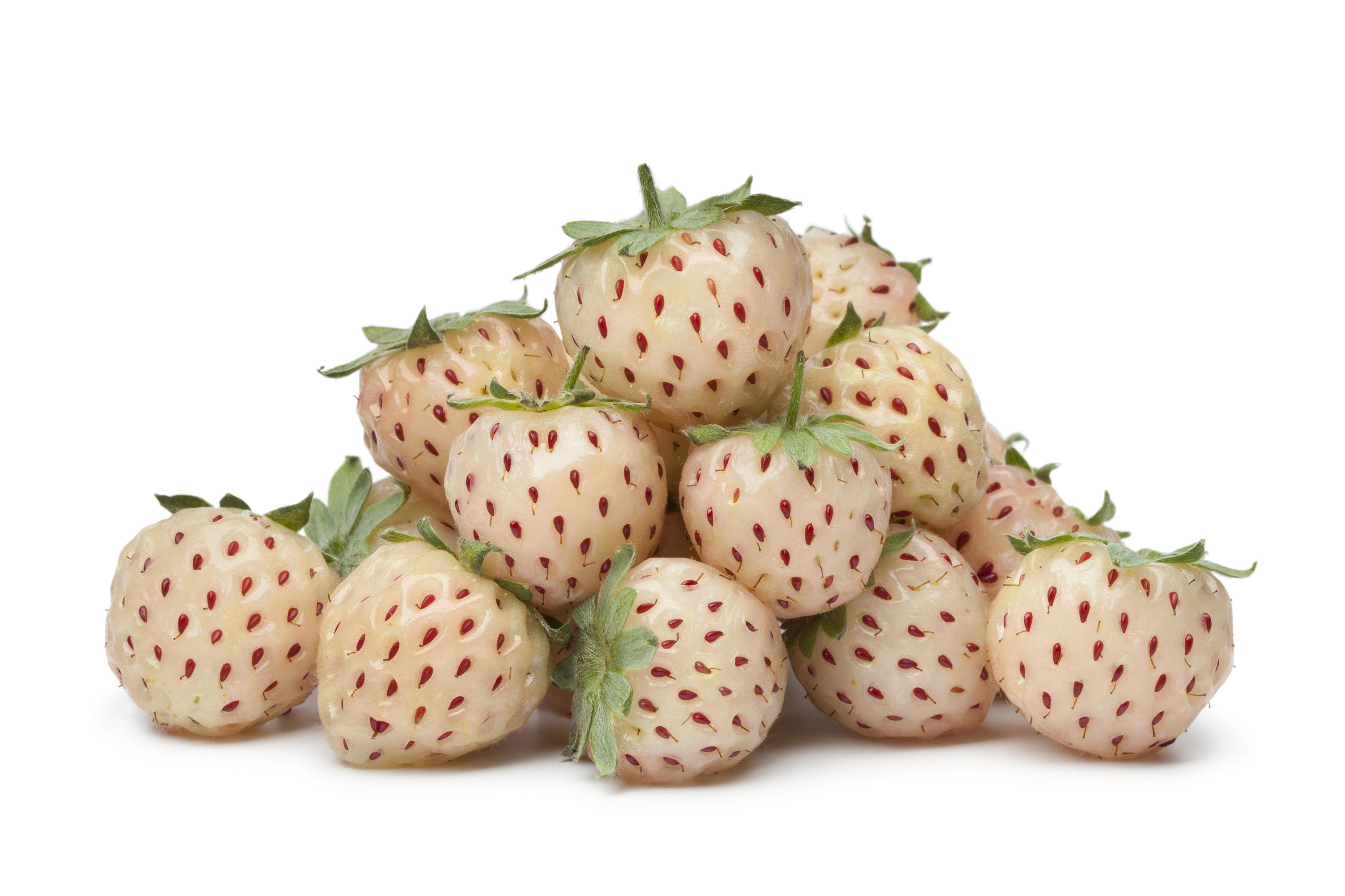 Pile of fresh pineberries
