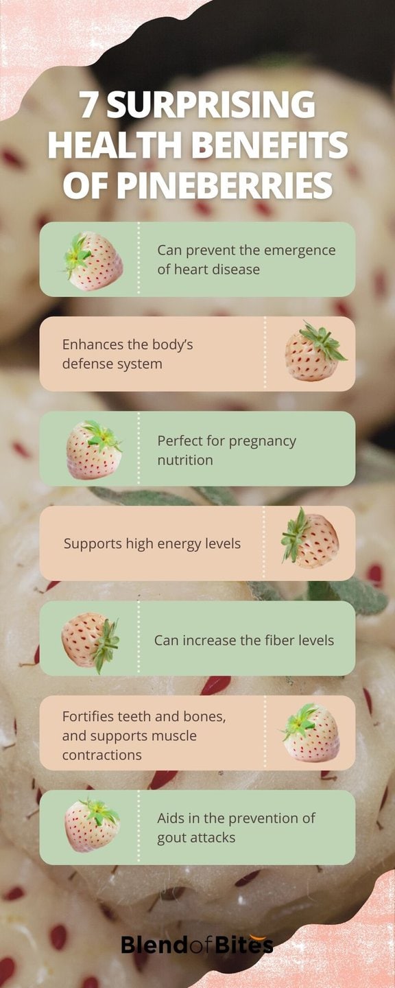 Pineberry Health Benefits Infographic Blendofbites Com Jpeg