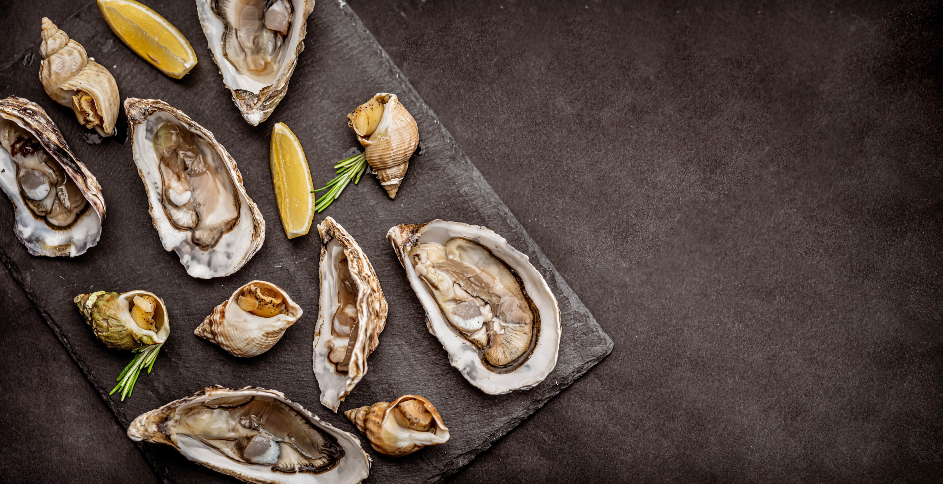 Raw oysters with cooked snails