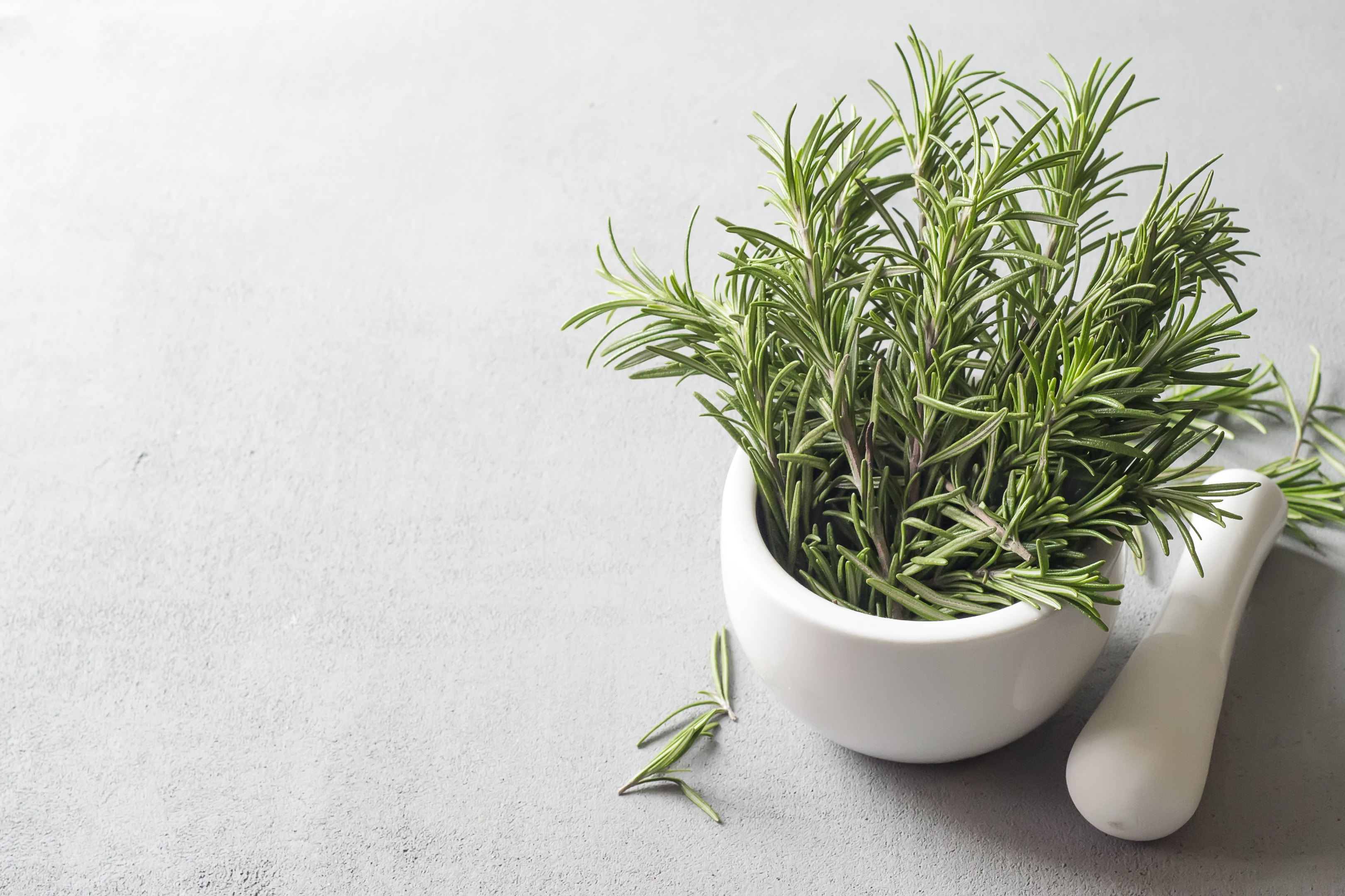 Fresh rosemary in a bowl