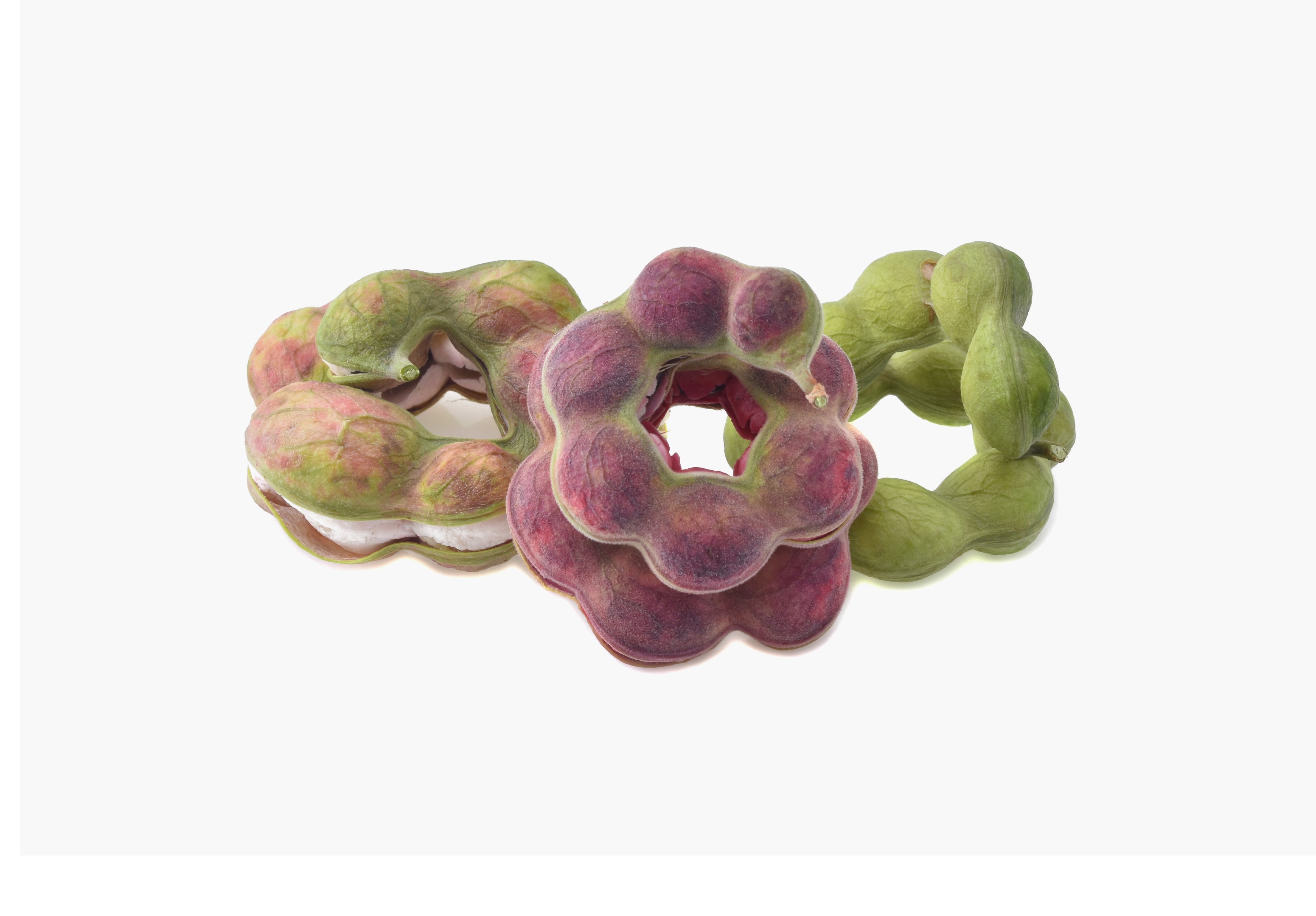 Seeni puliyanga — Manila tamarind fruit (pithecellobium dulce)