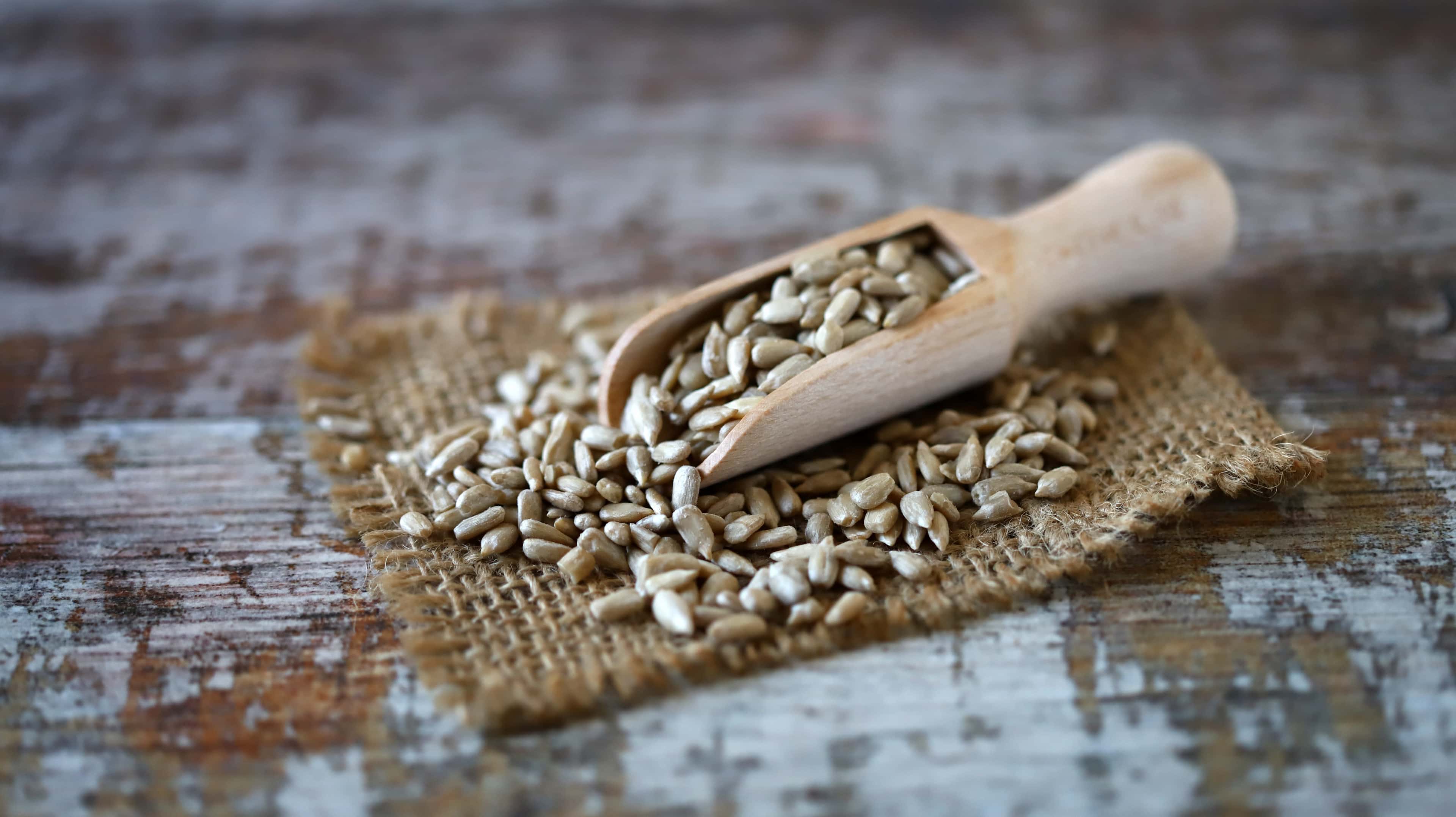 Sunflower seeds in wooden spatula