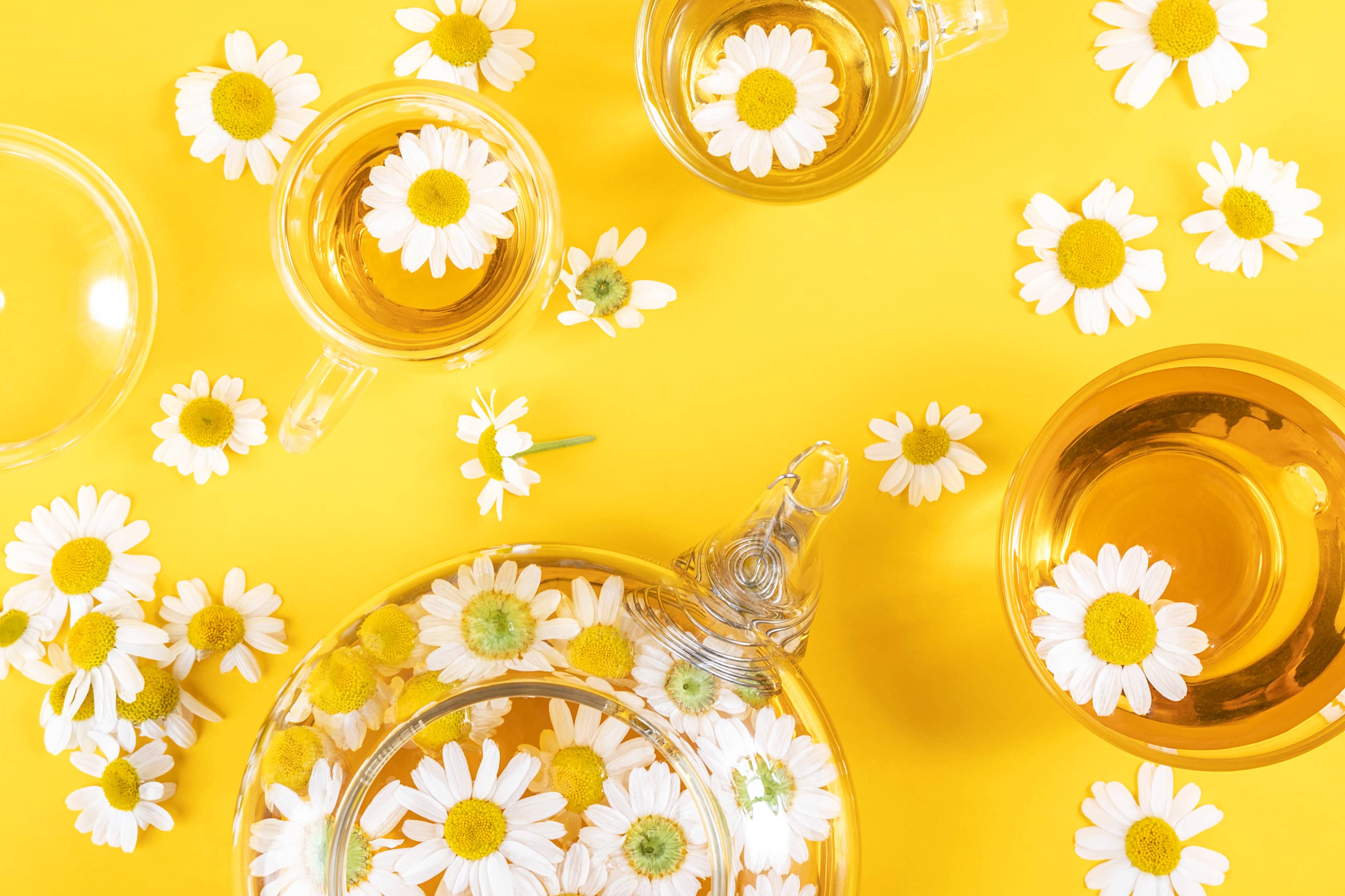 Cups and transparent teapot with chamomile tea and chamomile flowers