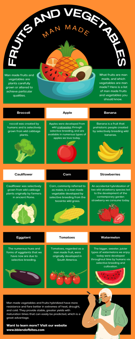What Vegetables and Fruits are Man Made Infographic