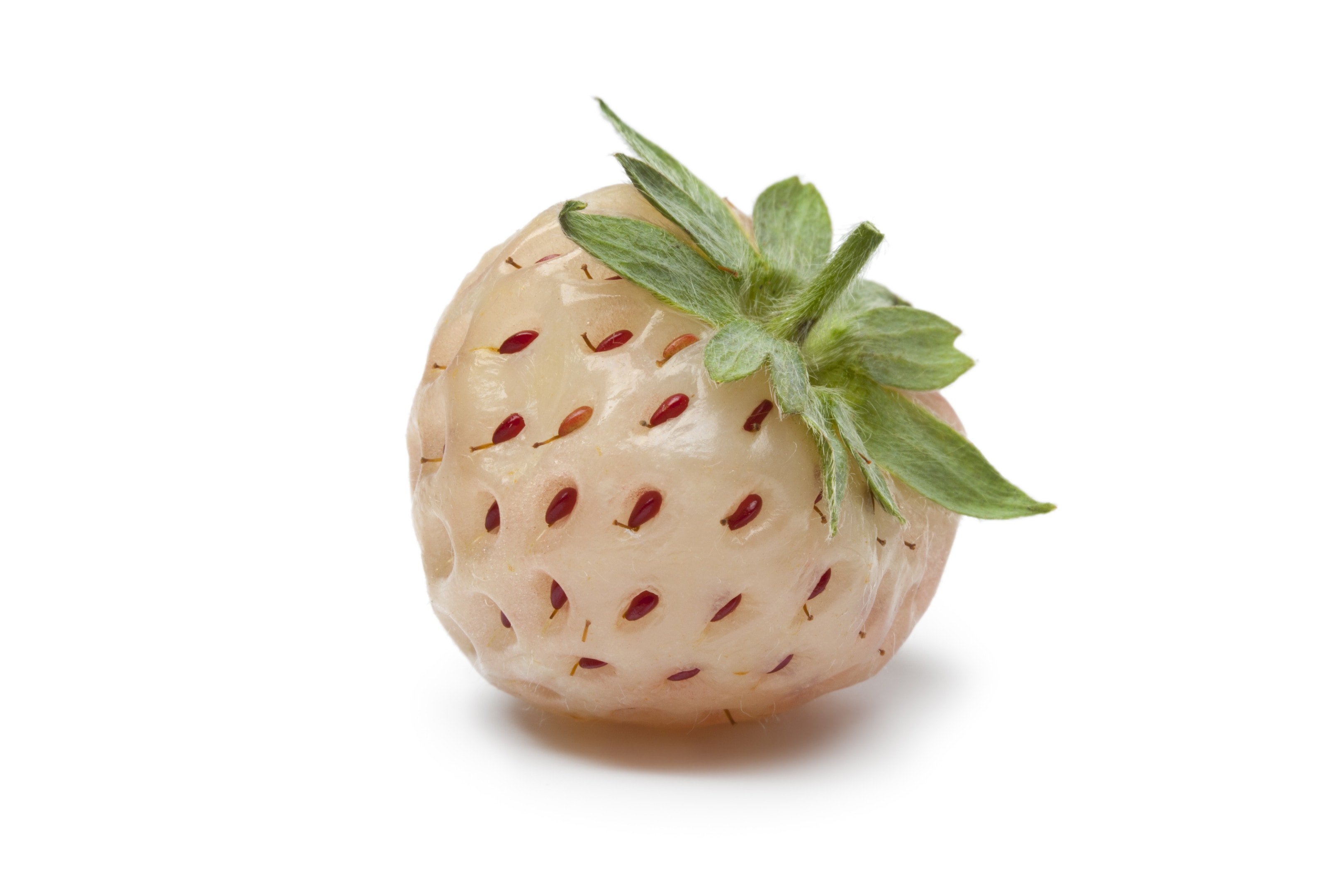 Whole single pineberry