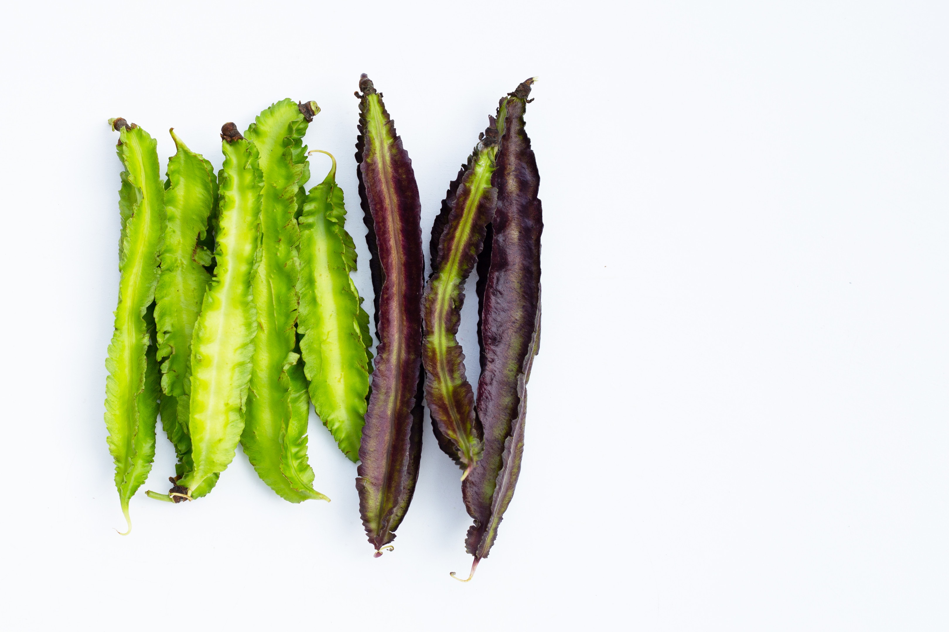 Winged bean assortment