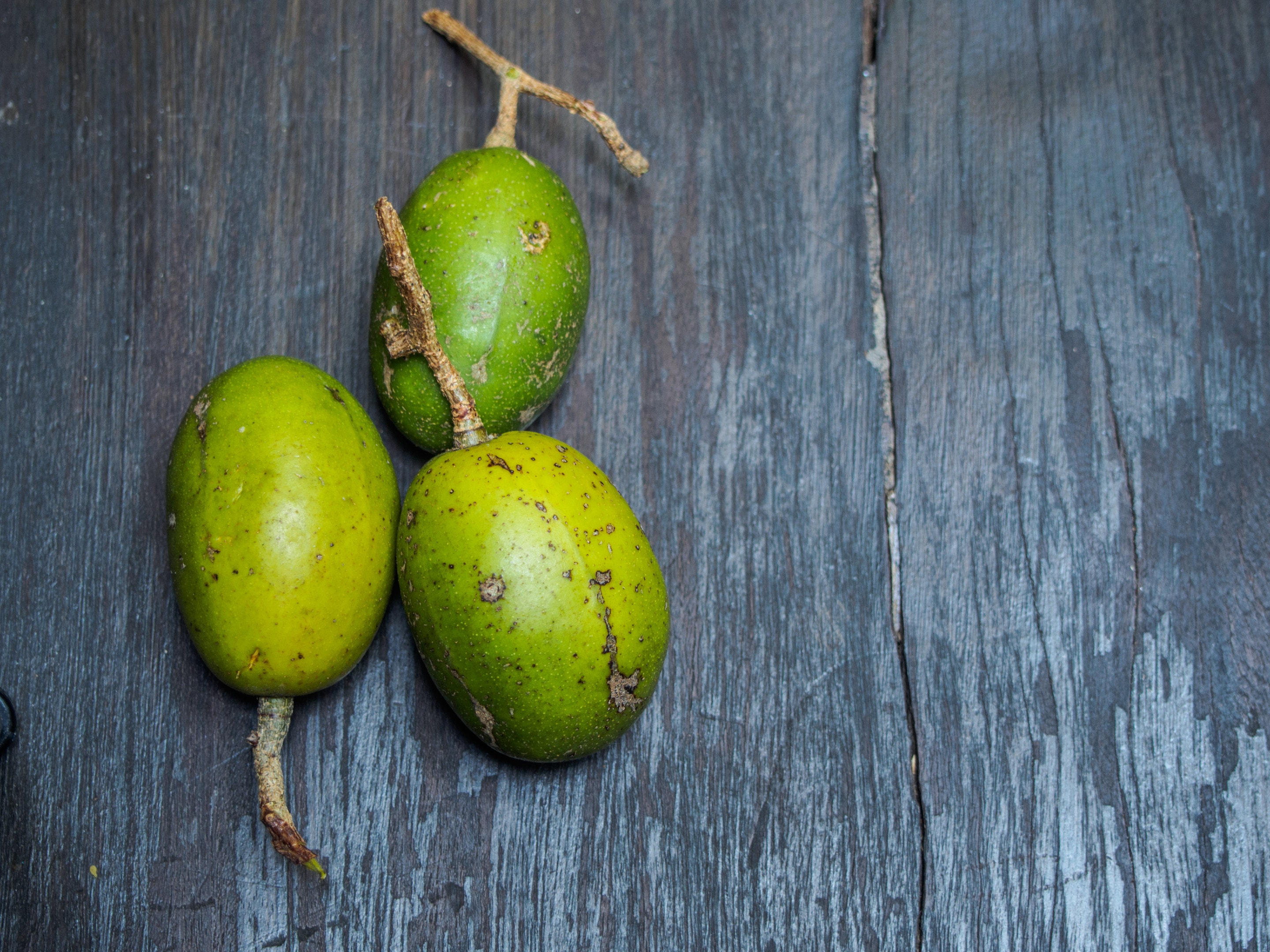 Ximenia (sour plum) fruit