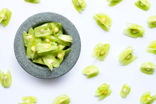 Moringa oleifera seeds in stone mortar