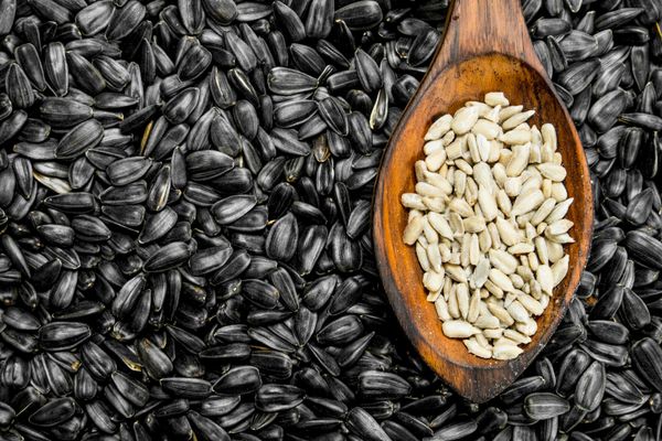 Peeled sunflower seeds in a wooden spoon on unpeeled sunflower seeds surface