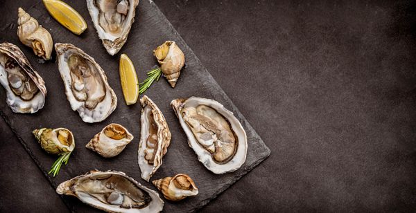 Raw oysters with cooked snails on black platter