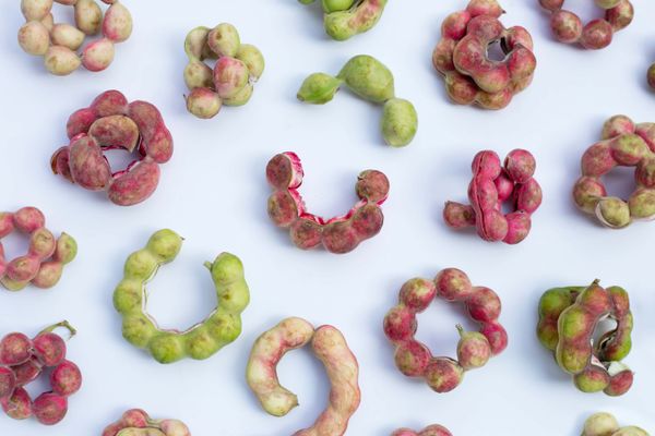 Seeni puliyanga — Manila tamarind fruit (pithecellobium dulce)