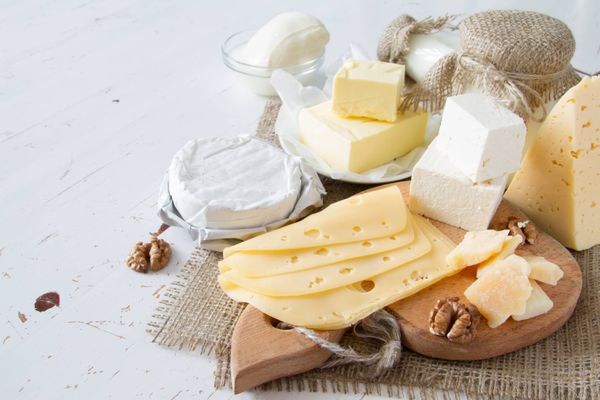 A selection of dairy products: cheese, milk, and yogurt