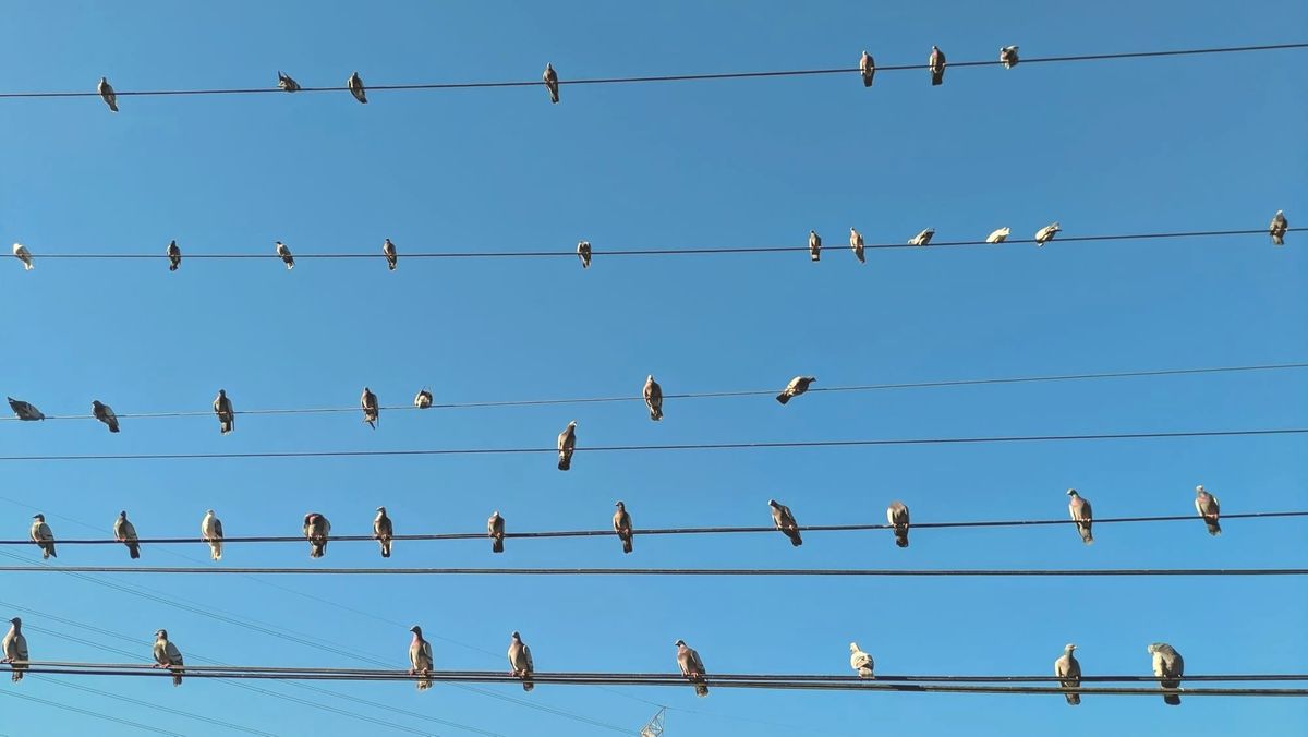 當我開始照顧自己，全宇宙都一起來照顧我了