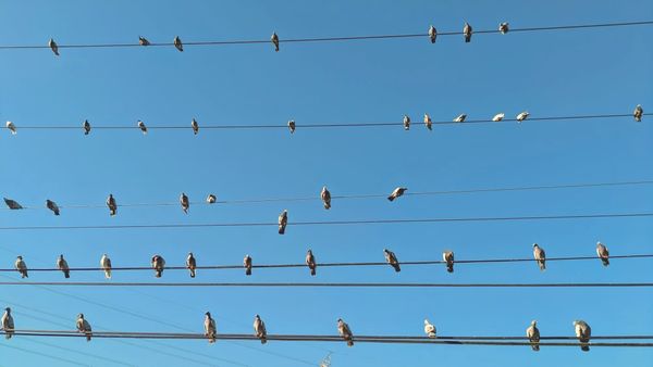 當我開始照顧自己，全宇宙都一起來照顧我了