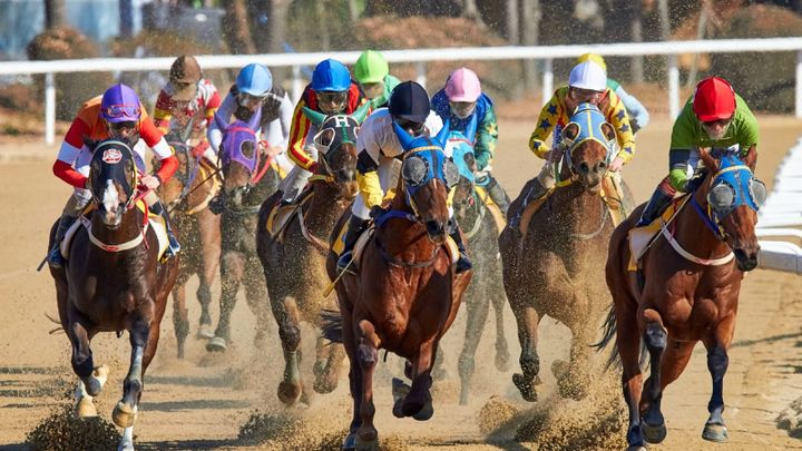 Giddy up: get back in the saddle for a new racing season