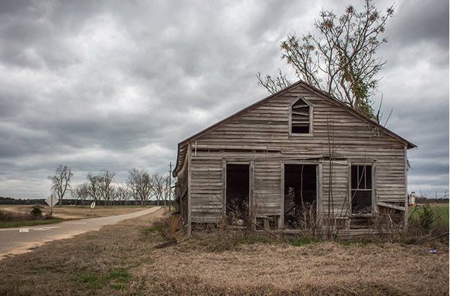Roots and Branches Season 2