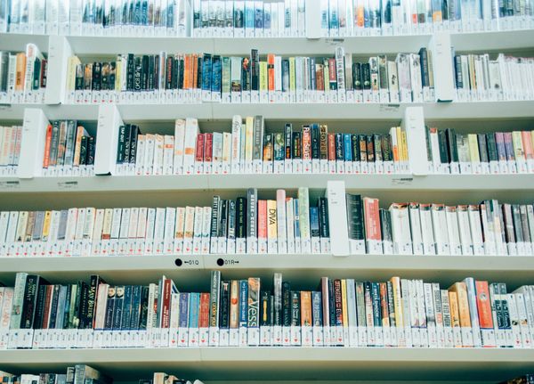 Floor-to-ceiling bookcases that stretch off the sides of the photo, all presented with the spines outward.